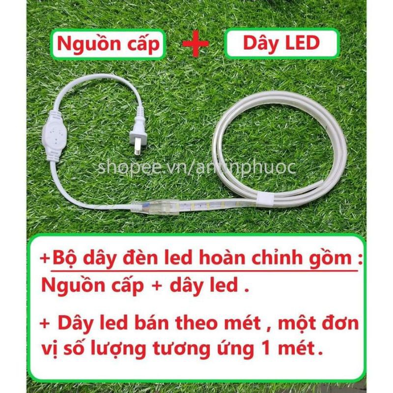 [ Chống Nước ] Dây Đèn Led Trang Trí loại 2 hàng siêu sáng Đẹp