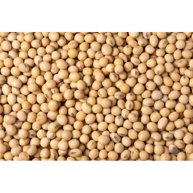1kg Đậu Nành
