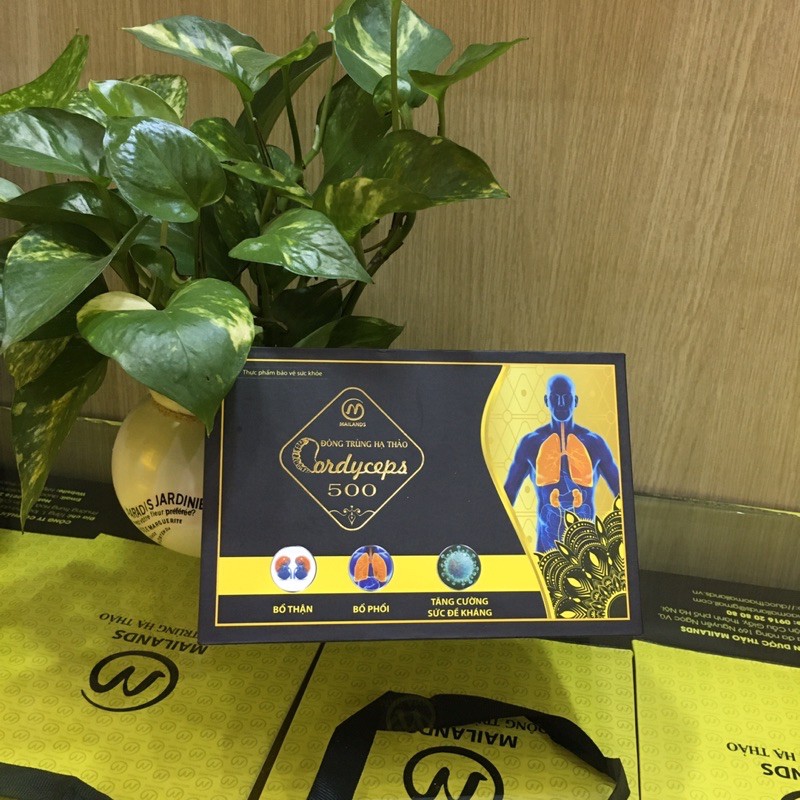 Đông Trùng Hạ Thảo Cordyceps 500(30 viên) | BigBuy360 - bigbuy360.vn