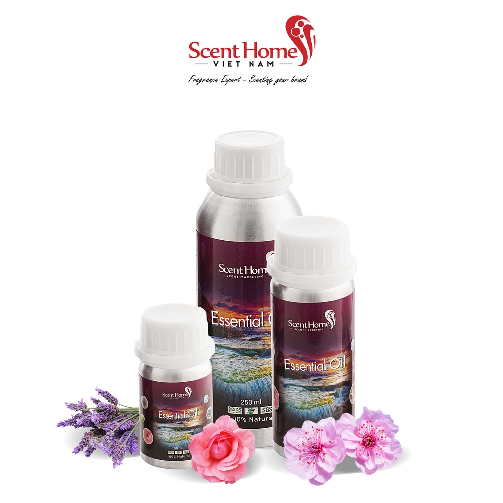 [Chính hãng] Tinh dầu Sakura - Scent Homes (Sakura - 50ml,100ml,250ml)