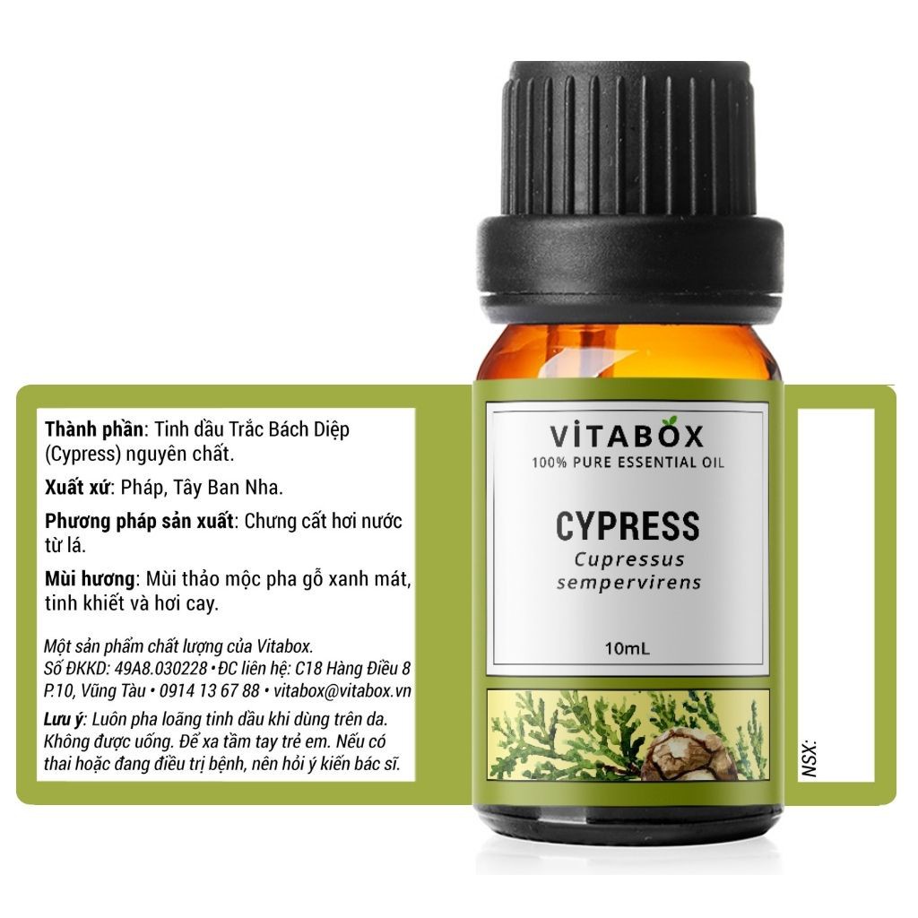 Tinh Dầu Trắc Bác Diệp Cypress VITABOX 100% thiên nhiên nguyên chất – pure essential oil