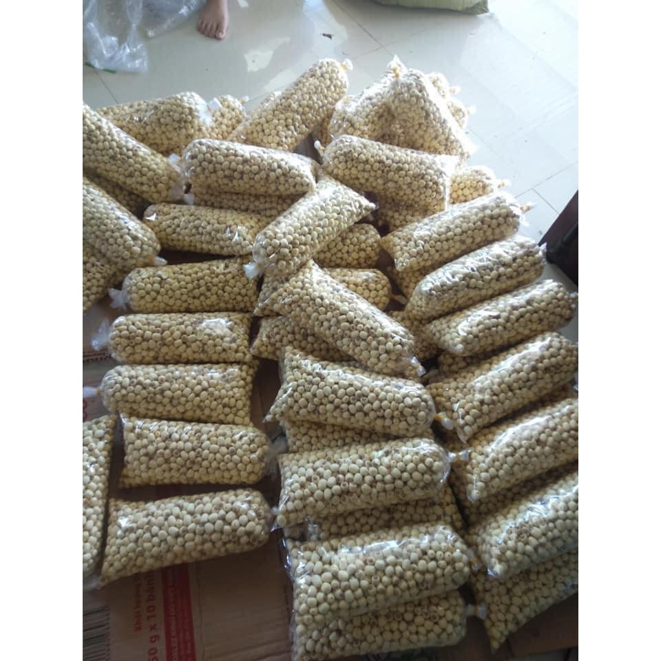 HAT SEN TƯƠI HỘI AN