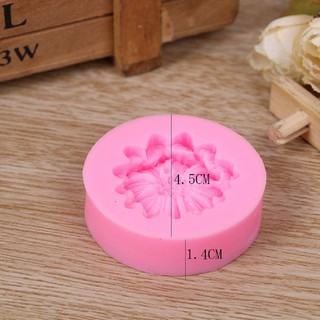 DIY Chocolate Candy Fondant Embossed Silicone Mold