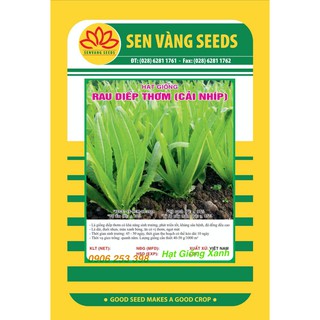 Hạt giống Rau Diếp Thơm 5Gr Chịu nhiệt