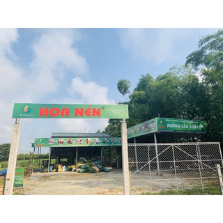 Dầu Tràm Hoa Nén 100ml
