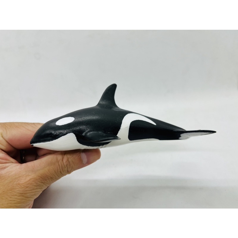 Mô hình động vật , đồ chơi con vật Schleich chính hãng Cá voi sát thủ con 16091 - Schleich House