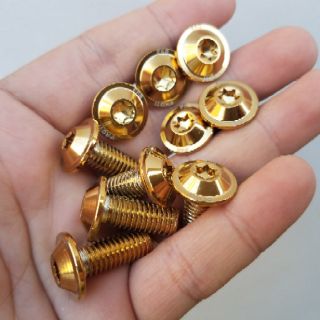 Combo 10 ốc dĩa inox 304