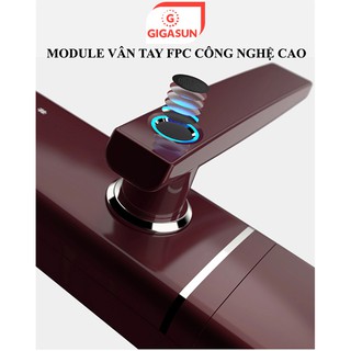 Khóa cửa thông minh Gigasun D07R