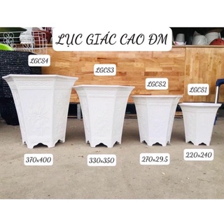 Chậu nhựa trồng cây