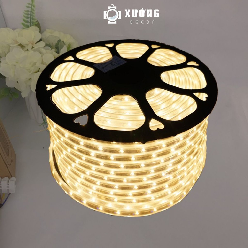 [MÃ GIẢM GIÁ 50K] 10M Đèn LED Dây 2 và 3 hàng 2835 trang trí TẾT, cuốn cây, hắt trần  Siêu Đẹp, Siêu Bền