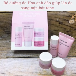 Kit dưỡng da innisfree hoa anh đào special kit combo 4pcs