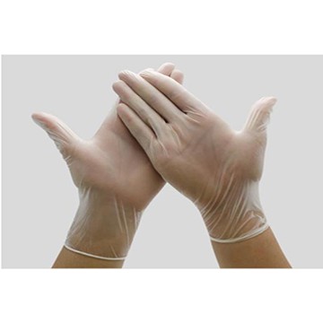 Găng tay PVC Vinyl -