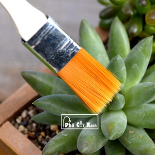 [Giá siêu rẻ] Cọ quét đất trồng tiêu cảnh - dụng cụ trồng cây, tiểu cảnh