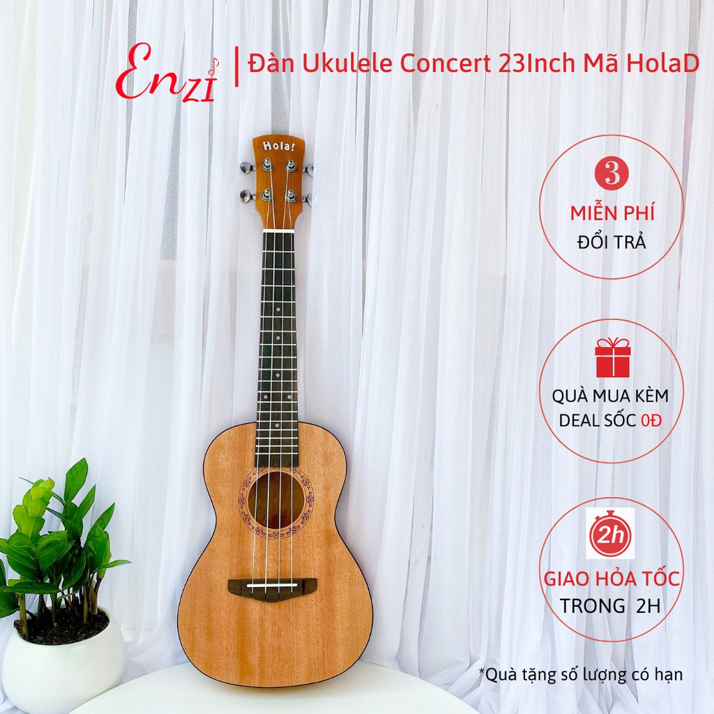 Đàn ukulele concert mã HolaD Enzi họa tiết nhí viền đen thiết kế khóa đúc cao cấp cho bạn mới bắt đầu tập chơi