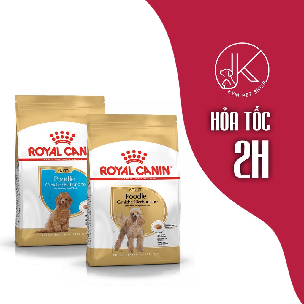 ROYAL CANIN POODLE - Thức ăn hạt khô dành riêng cho giống chó Poodle