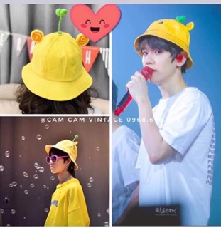 Mũ mầm siêu hot
