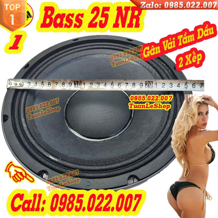 LOA BASS 25 NR TỪ 190 CÔN 75 – GIÁ 01 CỦ LOA 25