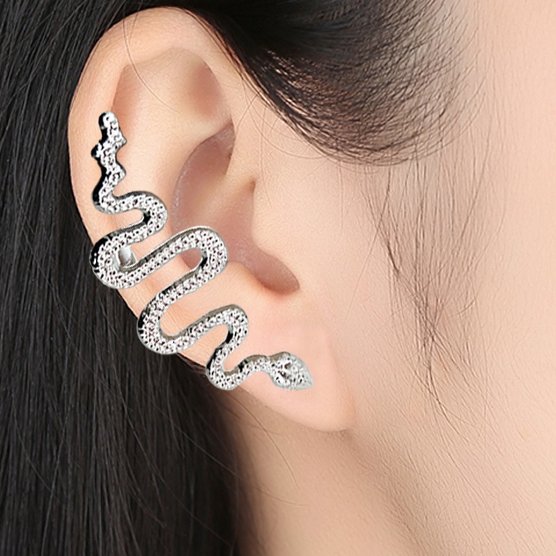 1 Khuyên Tai Kim Loại Hình Rắn Cá Tính