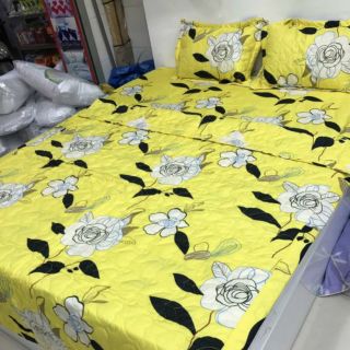 Trọn bộ 5 món cotton poly