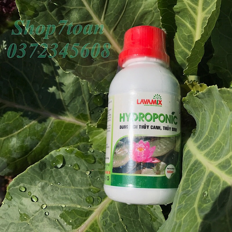 Dung Dịch Trồng Rau Thủy Canh HYDROPONIC, Lavamix 100ml