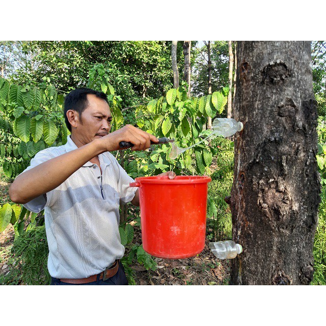 500g Mũ trôm thiên nhiên dạng viên ( chính gốc Mủ Trôm Phan Rang )