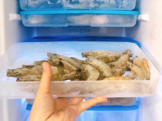 Hộp Trữ Đông Freezermate 1.2L Thấp