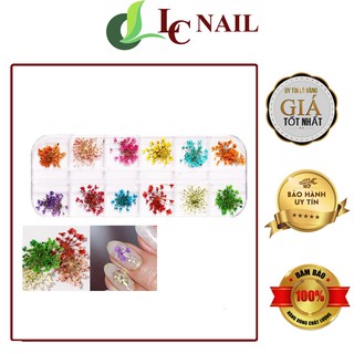 Hoa khô nail , Set hoa khô nhí 12 màu trang trí móng