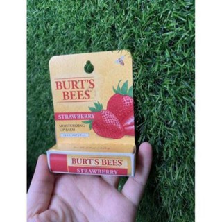... Son dưỡng môi burt's bees _buixuan