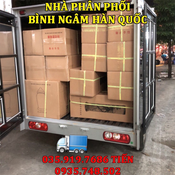 Bình ngâm rượu thủy tinh Hàn Quốc 0.66L NO.29| Mẫu mới