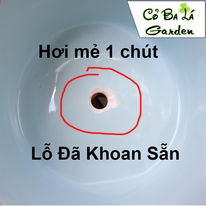 Chậu Sứ Trồng Cây Cảnh Mini , hình tô gờ mini