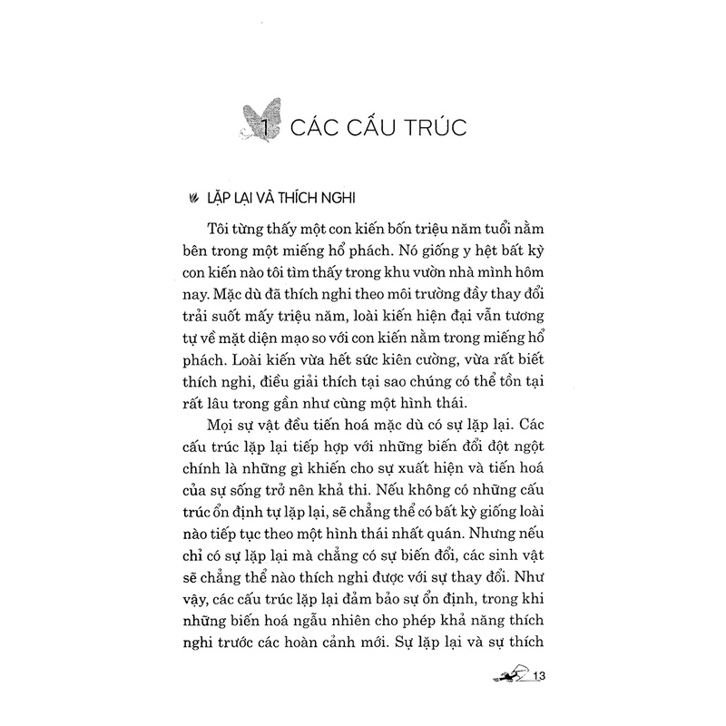 Sách - Bẻ Gãy Thói Quen (Martine Batchelor- Văn Lang)