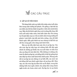 Sách - Bẻ Gãy Thói Quen (Martine Batchelor- Văn Lang)