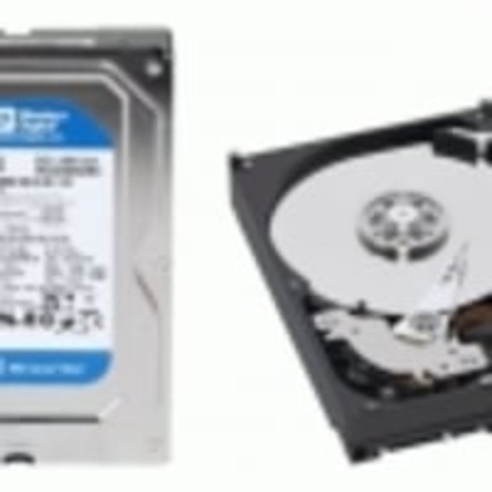 Ổ Cứng Trong 3.5 "320Gb Sata Pc 1 Th (Hdd 320 Gb Wd)