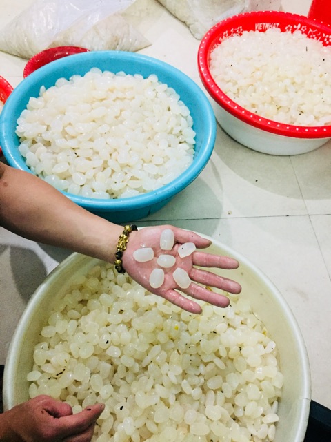Hạt đác tươi 1kg.10kg giảm giá