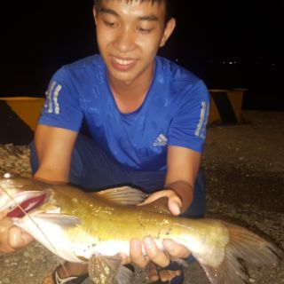 1kg Mồi thuốc cá lăng cá da trơn siêu nhại