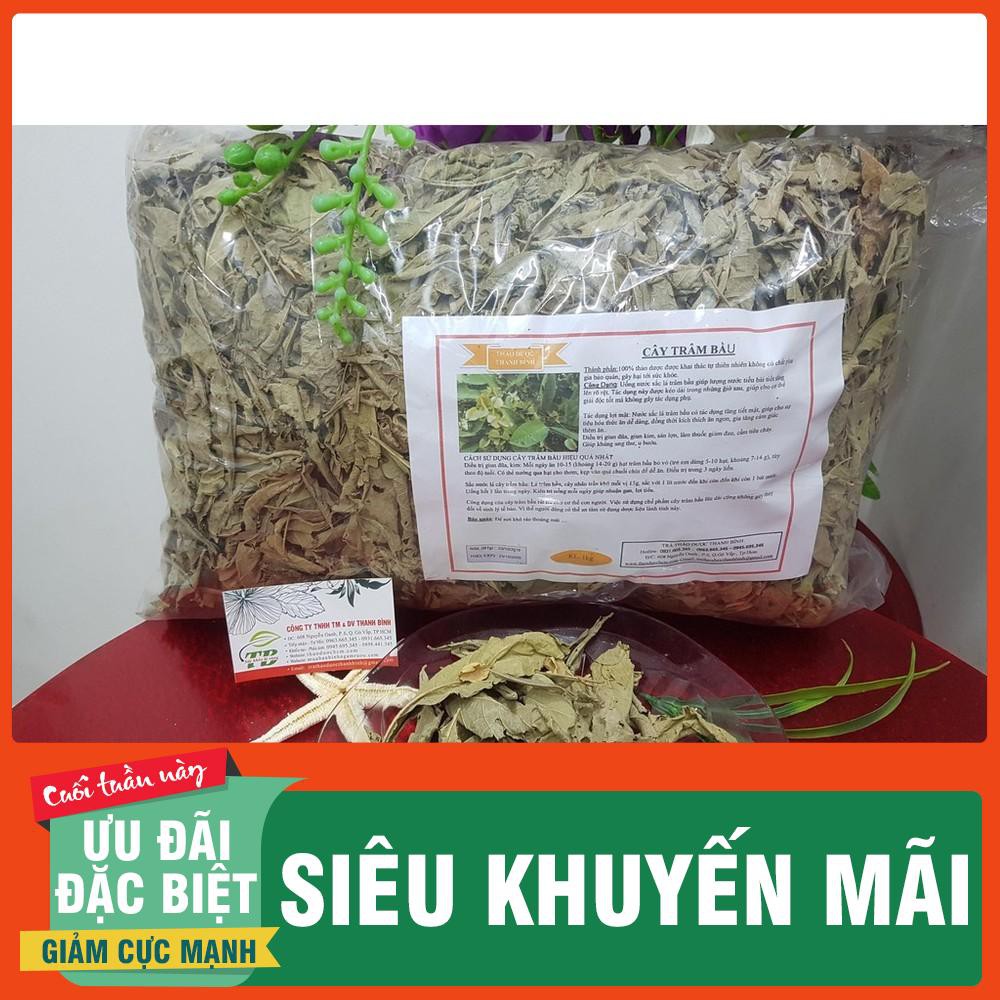 Cây Trâm Bầu 500gr - Tự Nhiên 100% Hàng Loại 1 - Thảo Dược Thanh Bình
