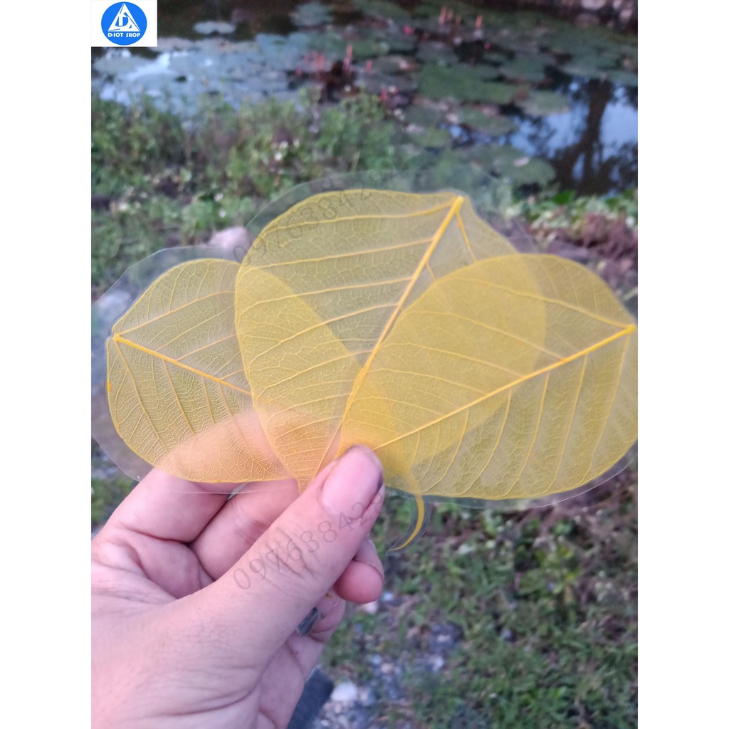 Lá bồ đề ép - ốp điện thoại | BigBuy360 - bigbuy360.vn