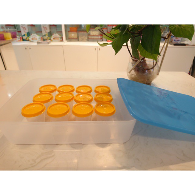 Hộp trữ đông Freezermate 3.1L Tupperware chính hãng, bảo quản thực phẩm ngăn đông