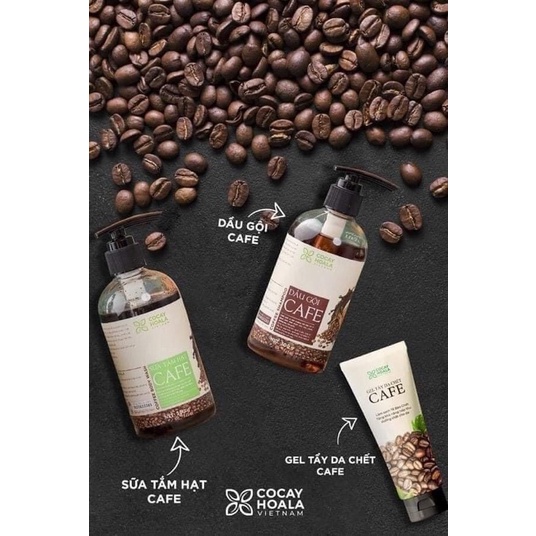 bộ sản phẩm cafe: sữa tắm, dầu gội, tẩy da chết