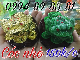 Cóc ngậm tiền phong thuỷ