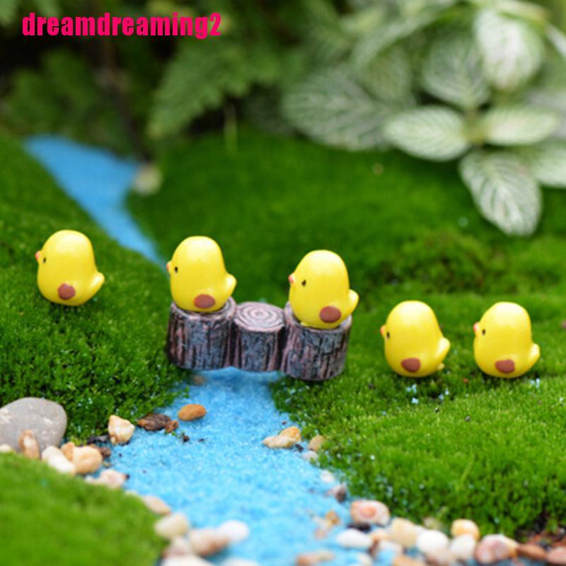 Set 5 mô hình chú gà mini trang trí tiểu cảnh sân vườn