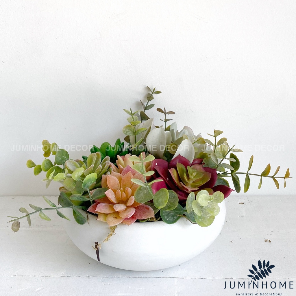 Cây giả Decor - Chậu sen đá bát Decor Trang trí để bàn