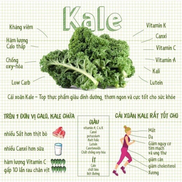 Mì cải Kale hữu cơ Isito 500gr/gói 10 vắt