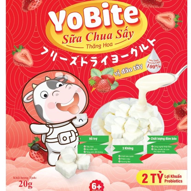 Combo sữa chua khô Yobite 20gr Hỗ trợ tiêu hóa tăng sức đề kháng- Yobite