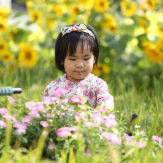 Túi merci vẽ theo mẫu [inbox]