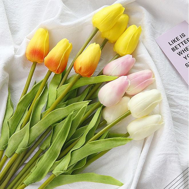 Hoa Tulip trang trí chụp ảnh (Nhiều màu)