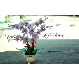 SET ĐẦY ĐỦ NGUYÊN LIỆU LÀM CHẬU LAN !