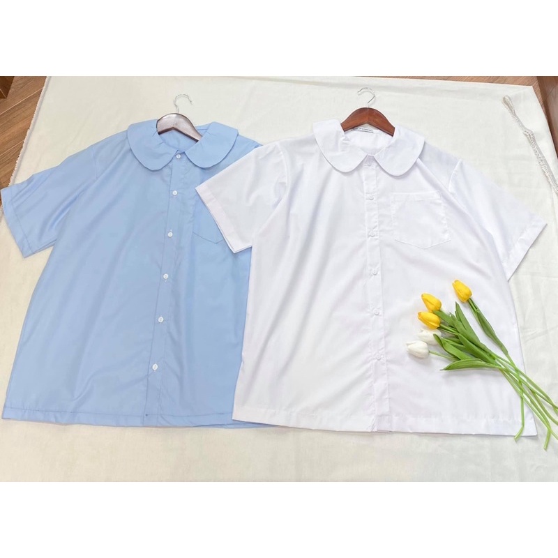 [Ảnh thật/Sẵn]Áo sơmi CỔ SEN học sinh form oversize
