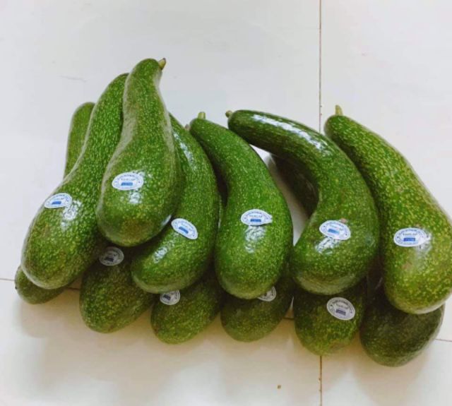 Bơ 034 - 1kg Lâm Đồng #bo034 | BigBuy360 - bigbuy360.vn