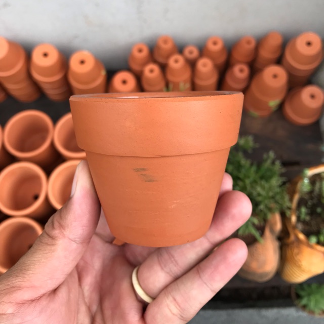Chậu đất nung 7cm